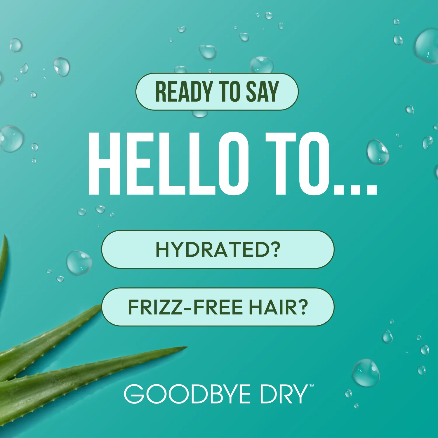 ORS Olive Oil Goodbye Dry Thirst Quencher Shampoo (12.0 oz) - Image 5